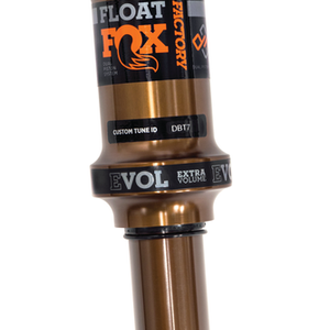 Shock Servicing