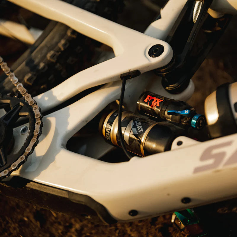 Fox bike suspension service hotsell